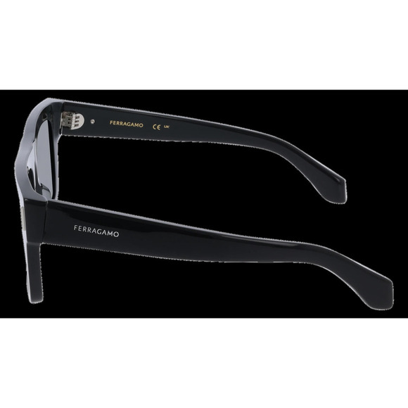 NWT Salvatore Ferragamo SF2063SE-001-5319 Sunglasses main image 4